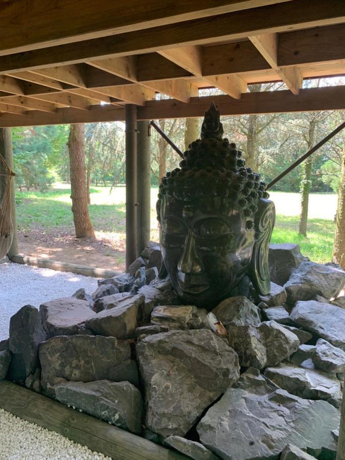 Gite Pont-A-Mousson, La Pepiniere Pagode Asiatique Luaran gambar